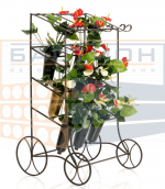 Цветочница садовая
